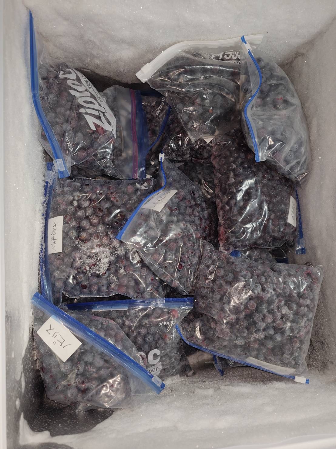 自家製冷凍ブルーベリー