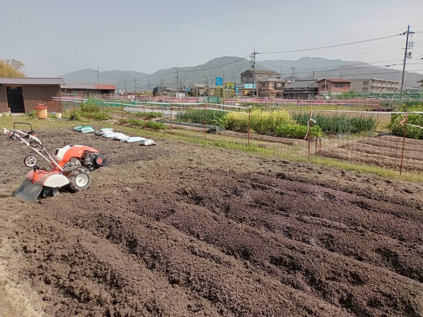 無農薬野菜栽培